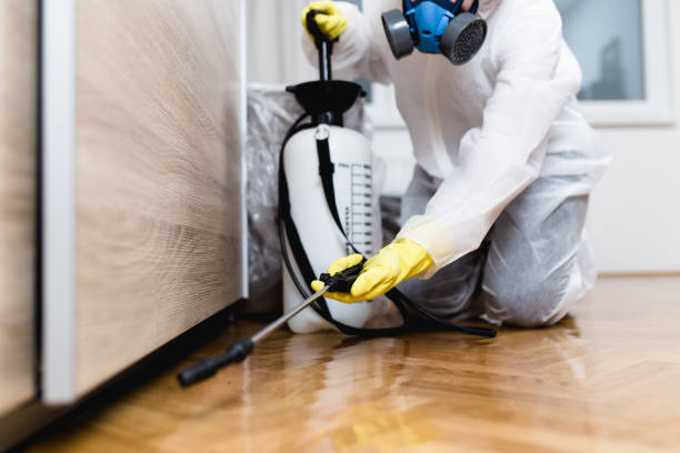 Best Bed Bug Extermination  in Linden, MI
