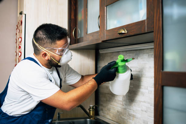 Best Pest Inspection Near Me  in Linden, MI