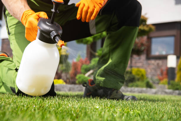 Best Mosquito Control Services  in Linden, MI