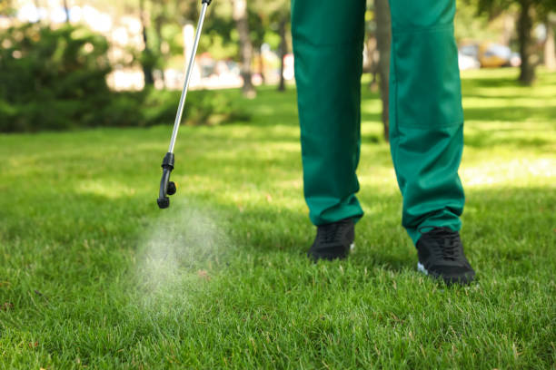 Best Cockroach Control Services  in Linden, MI