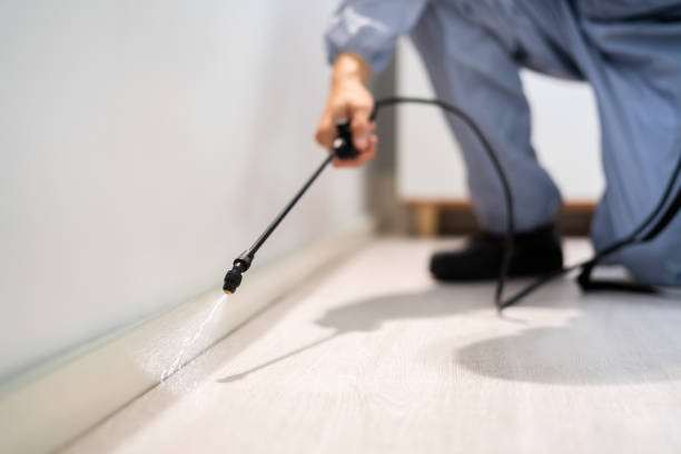 Best Wildlife Control Services  in Linden, MI