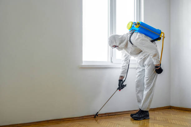 Best Rat Extermination Near Me  in Linden, MI