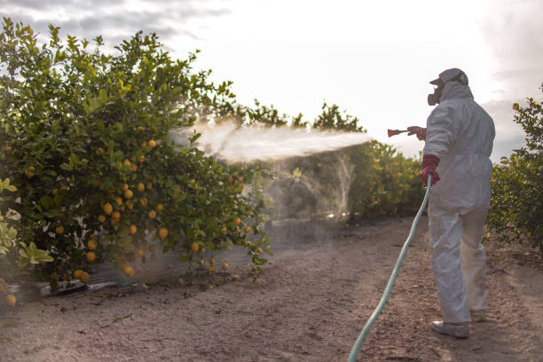 Best Best Pest Control Companies  in Linden, MI