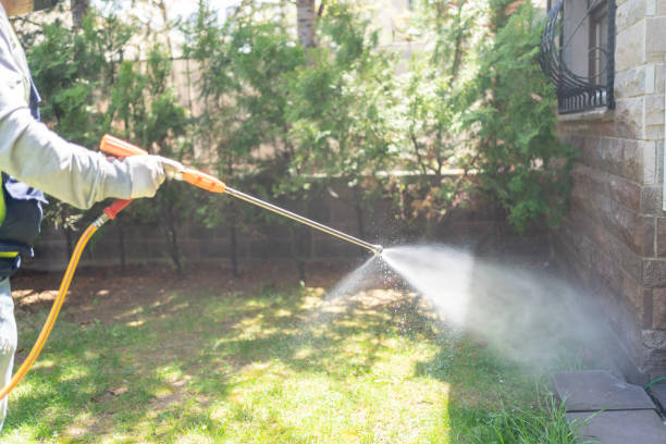 Best Affordable Pest Control Services  in Linden, MI
