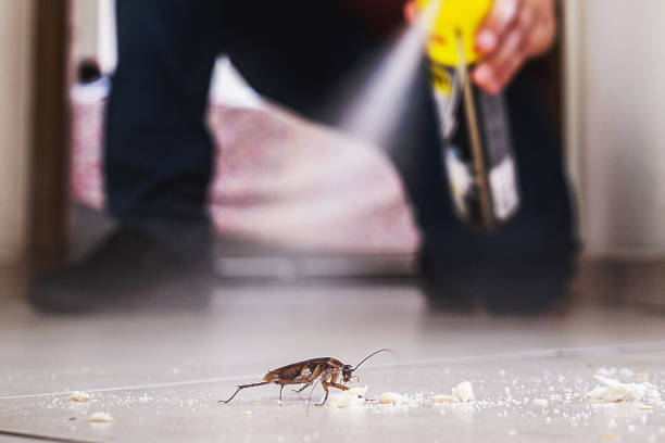 Best Pest Control Near Me  in Linden, MI