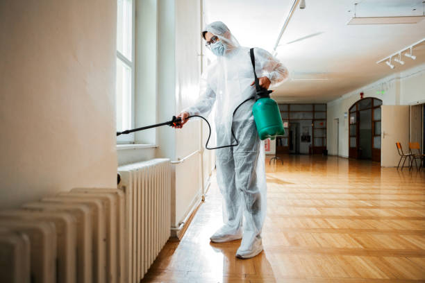 Wasp Removal Services in Linden, MI