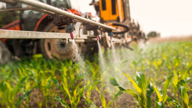 Best Insect Control  in Linden, MI
